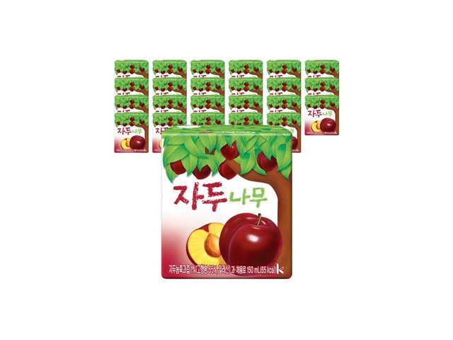 자두나무 내돈내산 리얼 사용 후기 & 팁