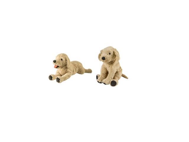 강아지사자인형 추천 인기 제품 쇼핑 필수 정보